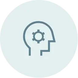 AI Implementation